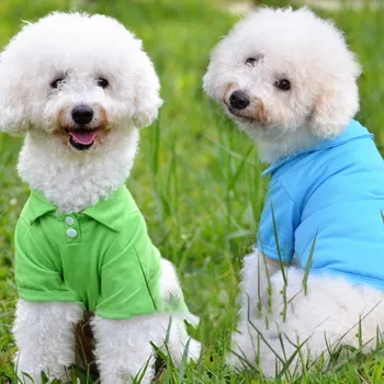 כלב קטן בגדים לאביב קיץ שבירים מזדמן גור קיטי חולצת פולו טדי מחמד בד רך הלבשה תחפושות XS-XL